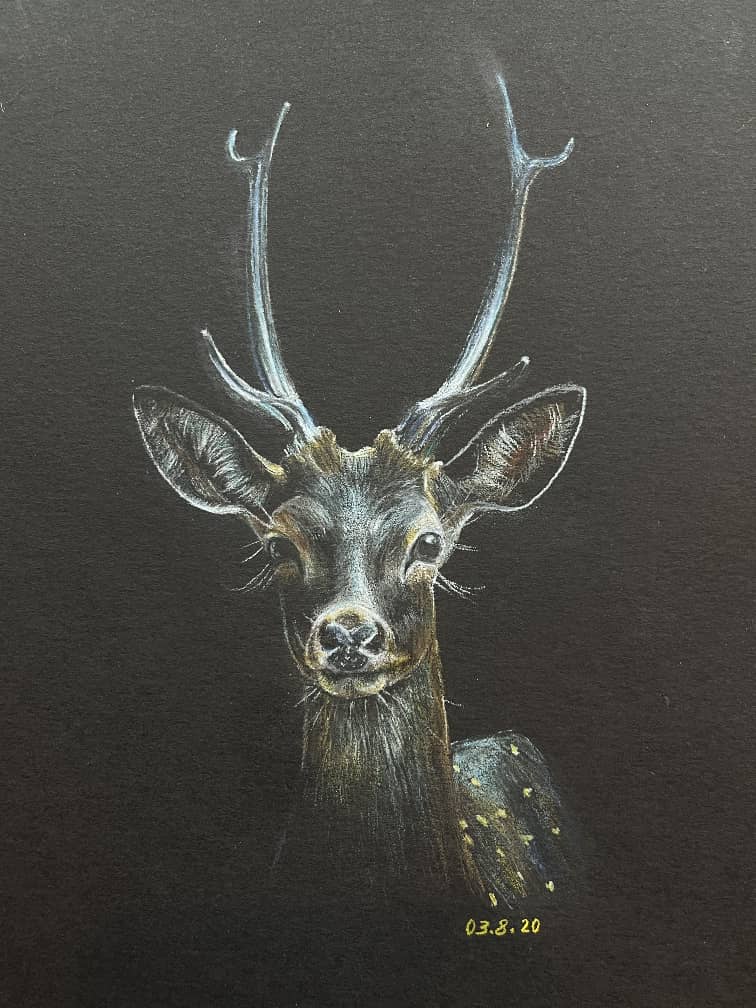 آموزش نقاشی سیاه قلم زینب پشته بان